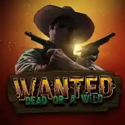Wanted Dead or a Wild jeu proposé par Spin Fin Casino pour les joueurs en France